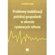 Biznes - Problemy stabilizacji polskiej gospodarki Nowa - miniaturka - grafika 1