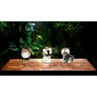 Lampy ogrodowe - Lampa solarna figurka zwierzątko mix - miniaturka - grafika 1