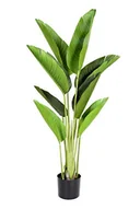 Sztuczne drzewka - GreenBrokers Sztuczne prawdziwe drzewo dotykowe w doniczce, rajski ptak 120 cm - miniaturka - grafika 1