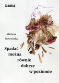 Poezja - Spadac można równie dobrze w poziomie - miniaturka - grafika 1