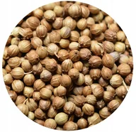 Przyprawy i zioła sypkie - KOLENDRA ZIARNO 1000g naturalna przyprawa - miniaturka - grafika 1