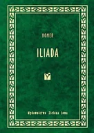 Poezja - Iliada - miniaturka - grafika 1