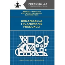 Organizacja i planowanie produkcji - Zarządzanie - miniaturka - grafika 1