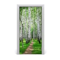 Naklejki na ścianę - Naklejka fototapeta na drzwi Las brzozowy, Tulup - miniaturka - grafika 1
