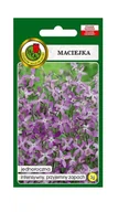 Nasiona i cebule - Maciejka 3 g PNOS Ożarów - miniaturka - grafika 1