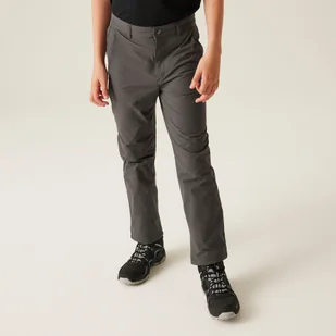 Regatta Spodnie dziecięce trekkingowe ocieplane Highton Ciemno-szary, Rozmiar: 128 cm - Spodnie i spodenki dla chłopców - miniaturka - grafika 1