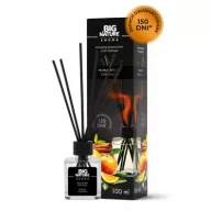 Zapachy do domu - Big Nature Dyfuzor zapachowy Pomarańcza Cynamon 100 ml - miniaturka - grafika 1