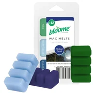 Zapachy do domu - Wosk Zapachowy Do Kominka Tajemniczy Las 12 Szt - miniaturka - grafika 1