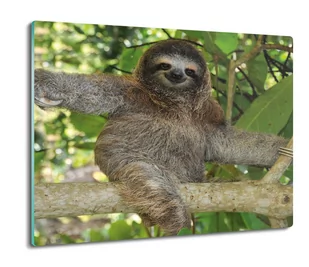 z foto osłonka ze szkła Leniwiec drzewo las 60x52, ArtprintCave - Deski do krojenia - miniaturka - grafika 1