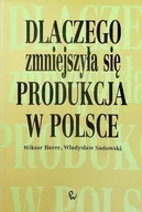 Biznes - Dlaczego zmniejszyła się produkcja w Polsce - miniaturka - grafika 1