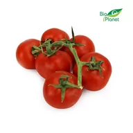 Warzywa świeże i suszone - ŚWIEŻE OPAKOWANIE ZBIORCZE (kg) - POMIDORY NA GAŁĄZCE ŚWIEŻE BIO (około 5 kg) - miniaturka - grafika 1