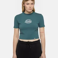 Koszulki i topy damskie - t-shirt donna dickies globe tee dk0a863i 0ln1 green - miniaturka - grafika 1