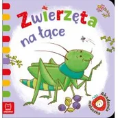 Książki edukacyjne - Aksjomat Akademia maluszka. Zwierzęta na łące Anna Podgórska - miniaturka - grafika 1