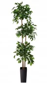 Sztuczne kwiaty - Drzewko Sztuczne Fikus Sztuczny Liście Wysoka Jakość 150cm - miniaturka - grafika 1