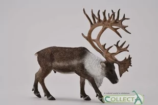 Collecta Renifer - Figurki dla dzieci - miniaturka - grafika 1