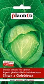 Nasiona i cebule - NASIONA Kapusta Głowiasta Biała Sława Z Gołębiewa 2g PLANTICO 402102 - miniaturka - grafika 1