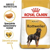 Mokra karma dla psów - Royal Canin Rottweiler Adult 12kg + Wiadro na karmę 51l 197400 - miniaturka - grafika 1