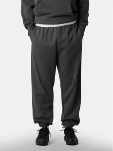 The North Face Spodnie dresowe Expedition Celebration NF0A8E3E Szary Relaxed Fit - Spodnie sportowe męskie - miniaturka - grafika 1