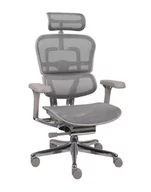 Fotele i krzesła biurowe - Ergonomiczny fotel biurowy Ergohuman 2 Elite Pro GS Grey - miniaturka - grafika 1