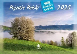 Dekoracja świąteczna Art-Pol Kalendarz 2025 Rodzinny Pejzaże Polski - Ozdoby bożonarodzeniowe - miniaturka - grafika 1