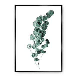 Dekoria Dekoria Plakat Eucalyptus Emerald Green 50 x 70 cm Ramka Czarna 222E-000-02 - Plakaty - miniaturka - grafika 1