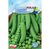 Nasiona i cebule - Groch Siewny Łuskowy O Nasionach Gładkich Sześciotygodniowy Polan - miniaturka - grafika 1