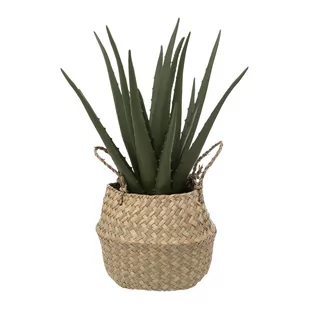 Sztuczna roślina ALOES w koszyku, 37 cm - Sztuczne kwiaty - miniaturka - grafika 1