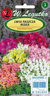 Legutko sp. z o.o Nasiona Lwia paszcza niska mieszanka, 0,5g - Nasiona i cebule - miniaturka - grafika 1