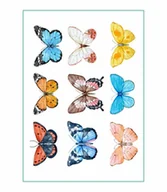 Prace ręczne dla dzieci - Tatuaże Tymczasowe Kolorowe Motyle Naklejki Na Ciało Zestaw Motyli A4 - Tattoo.009 - miniaturka - grafika 1