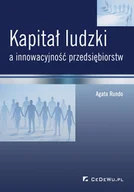Zarządzanie - Kapital ludzki a innowacyjność przedsiebiorstw - miniaturka - grafika 1