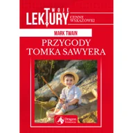 Pomoce naukowe - Dragon Przygody Tomka Sawyera BR - miniaturka - grafika 1