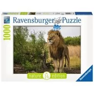 Puzzle - Ravensburger Puzzle 1000 elementów. Król lew - miniaturka - grafika 1