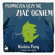 Literatura popularno naukowa dla młodzieży - Płomyczek uczy się ziać ogniem - miniaturka - grafika 1