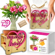 Nasiona i cebule - Prezent na DZIEŃ BABCI Róża Pustyni Adenium obesum Zestaw do Uprawy Nasiona - miniaturka - grafika 1