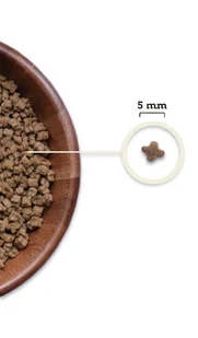 ACANA Kitten 1,8kg - Sucha karma dla kotów - miniaturka - grafika 4
