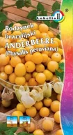 Nasiona i cebule - Rodzynek brazylijski Andenbeere 0,2g / L / - miniaturka - grafika 1
