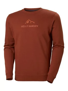 Bluzy męskie - Helly Hansen Bluza "F2F" w kolorze jasnobrązowym - grafika 1