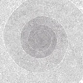 Muzyka biesiadna - Kiss The Anus Of A Black Cat Nebulous Dreams The CD Kiss The Anus Of A Black Cat - miniaturka - grafika 1