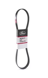 GATES Pasek klinowy wielorowkowy 6PK1580XS 6PK1580XS - Paski klinowe i wielorowkowe - miniaturka - grafika 1