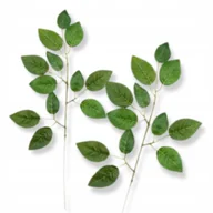 Sztuczne kwiaty - SZTUCZNY LIŚĆ Ozdobny Liście dekoracyjne Ozdobne do wiązanek stroików 12szt - miniaturka - grafika 1