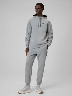 4F Spodnie dresowe joggery męskie - szare XXL - Spodnie sportowe męskie 4F Spodnie dresowe joggery męskie - szare XXL - Spodnie sportowe męskie - miniaturka - grafika 1