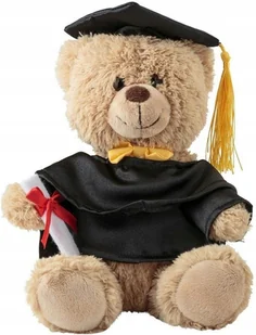 Maskotka Miś Absolwent Szkolny Profesor z biretem i dyplomem - 22cm - Maskotki i pluszaki - miniaturka - grafika 1