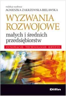 Ekonomia - Wyzwania rozwojowe małych i średnich przedsiębiorstw - miniaturka - grafika 1