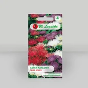 Nasiona i cebule - Aster chiński karłowy igiełkowy Teisa Stars Mieszanka 0,5g - Nasiona - W. Legutko - miniaturka - grafika 1