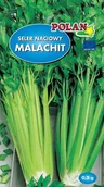 Nasiona i cebule - Seler naciowy Malachit 0.2 g POLAN - miniaturka - grafika 1