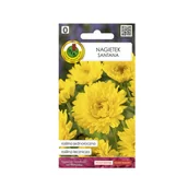 Nasiona i cebule - Nagietek Santana Słomkowożółty nasiona 3 g Pnos - miniaturka - grafika 1