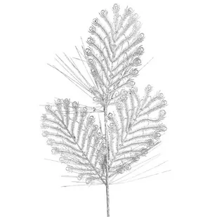 GAŁĄZKA ŚWIĄTECZNA DEKORACYJNA 74 50X20 CM SREBRNY - Ozdoby bożonarodzeniowe - miniaturka - grafika 1