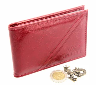 Etui Na Karty Dokumenty ANDRUS (PL) Wizytownik Skóra Naturalna RFID 11x7,5 cm - Etui na dokumenty i karty - miniaturka - grafika 6