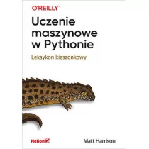 Uczenie maszynowe w Pythonie. Leksykon kieszonkowy - Książki o programowaniu - miniaturka - grafika 1