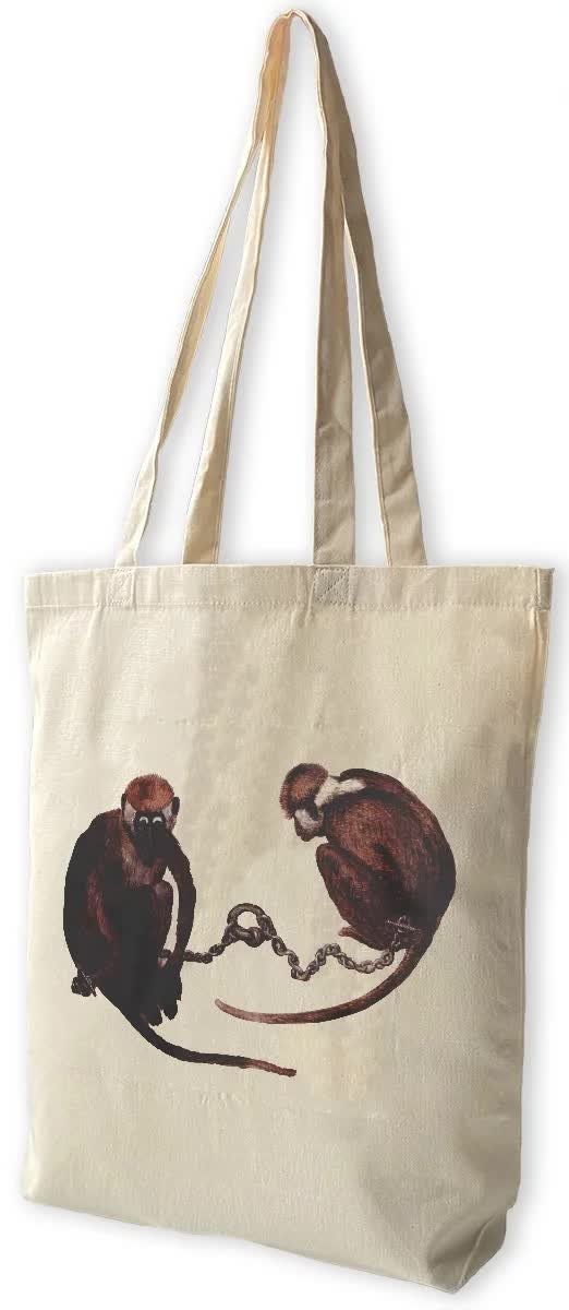 Torba bawełniana Dwie małpy Pieter Bruegel starszy